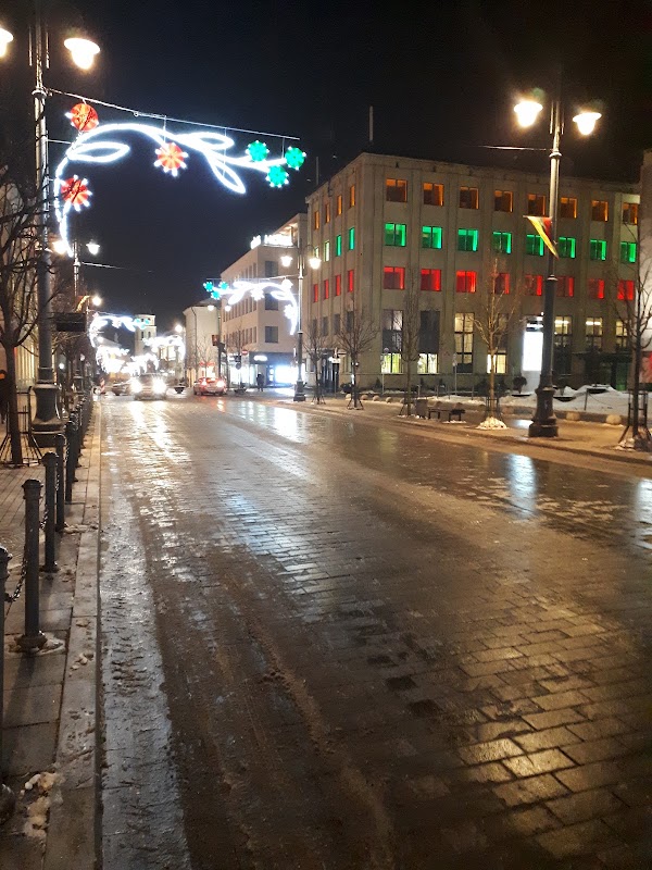 Gediminas Avenue 2