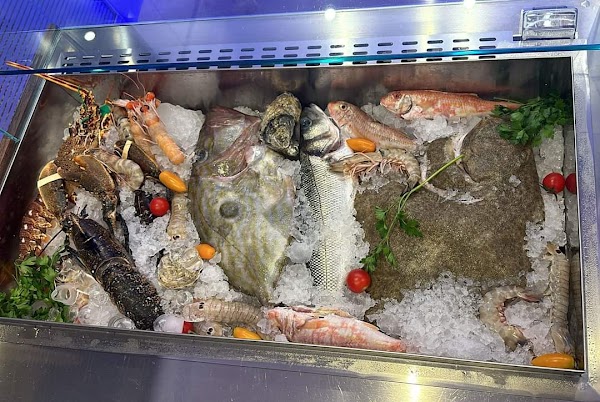 Ittico Ristorante - Cucina di Mare 5