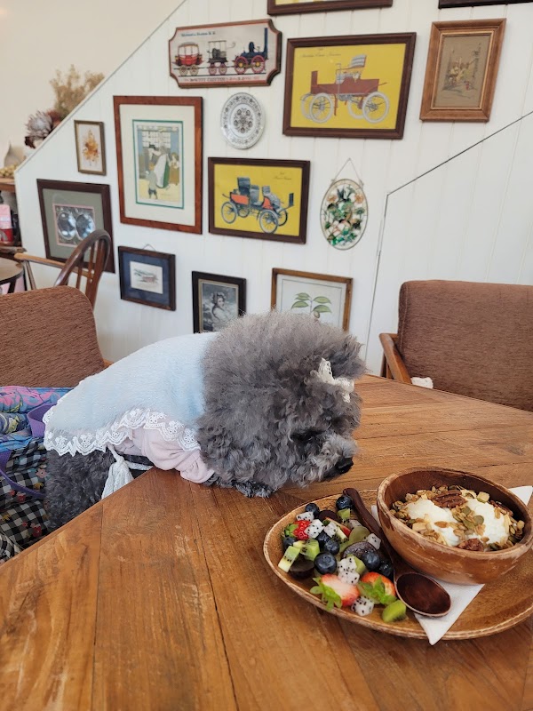 You Need My Yogurt 2