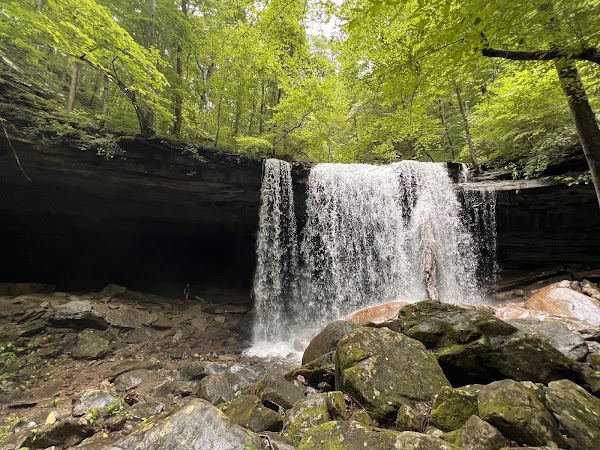 Big Laurel Falls 1