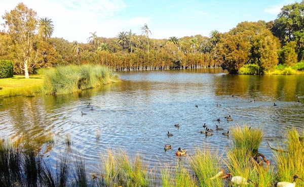 Centennial Park 2