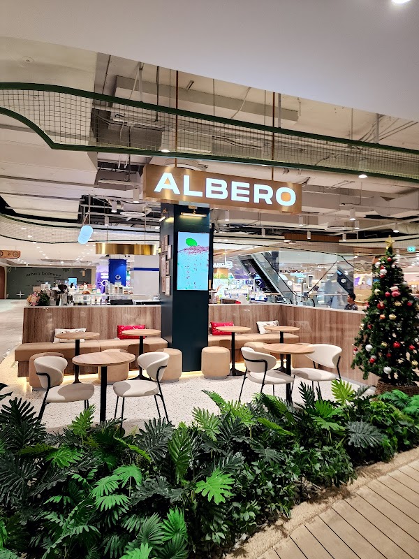 ALBERO