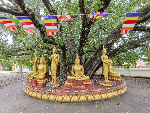 Wat That Luang Neua 2