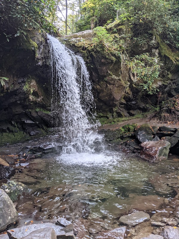 Trillium Gap Trail 1
