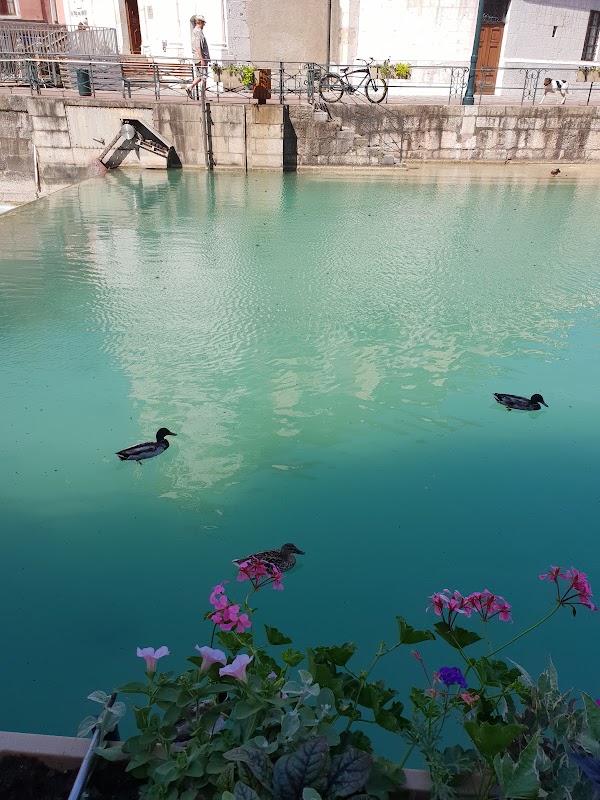 Annecy 3