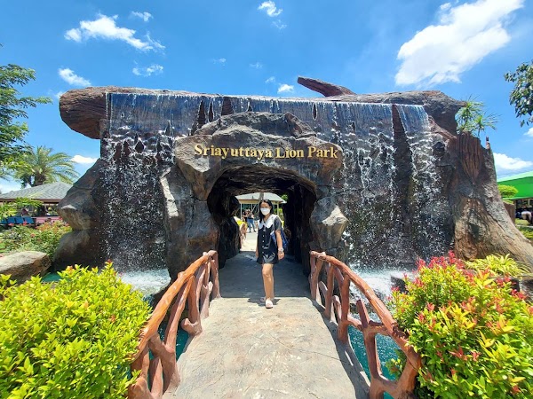 Sriayuthaya Lion Park 3