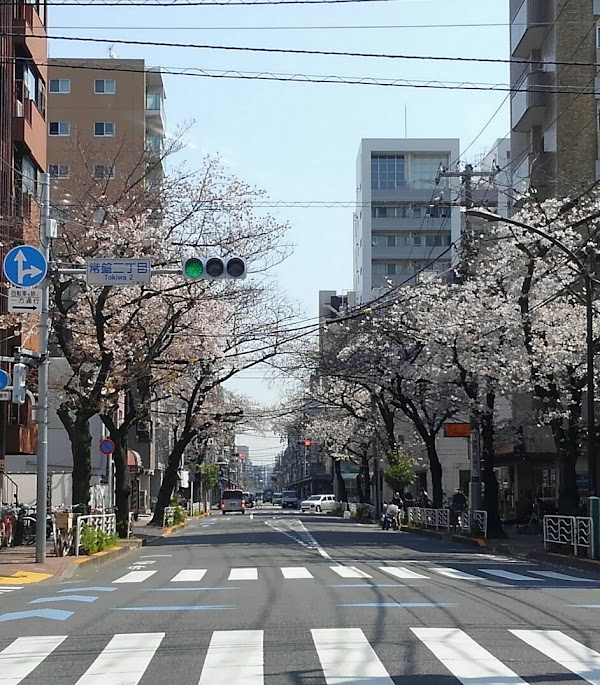 Tokiwa