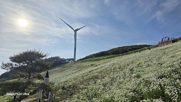 육백마지기