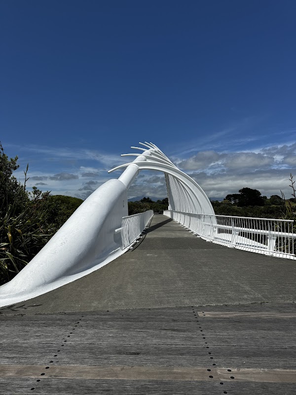 Te Rewa Rewa Bridge 1