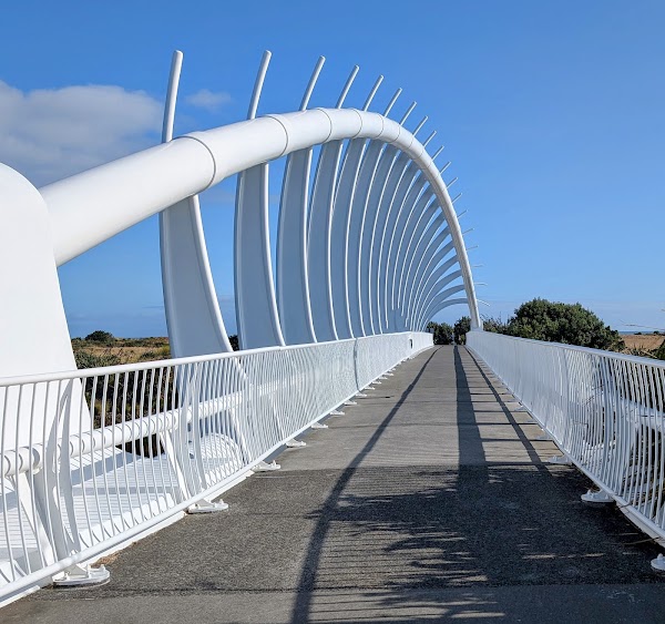 Te Rewa Rewa Bridge 4