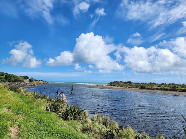 Te Rewa Rewa Bridge 3