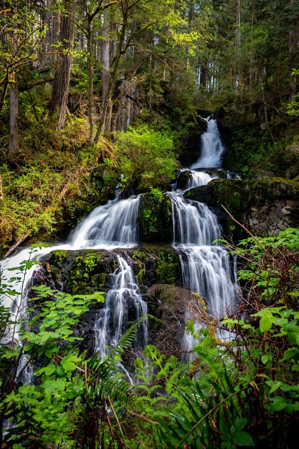 Steelhead Falls 1