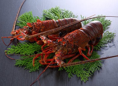 Kobe Beef WANOMIYA Dotonbori Main Store 4