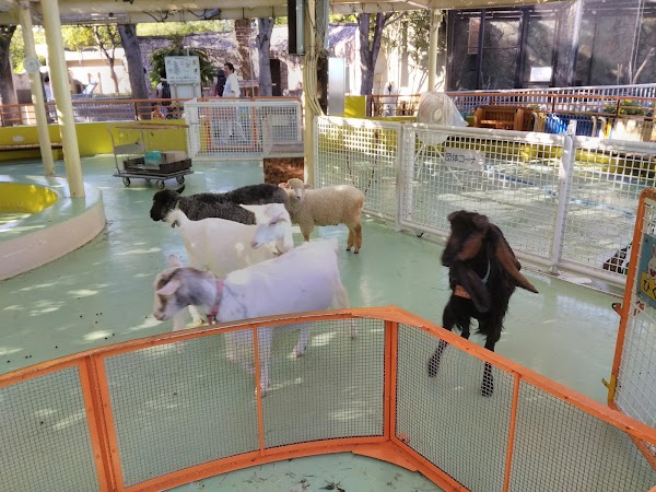 Edogawa City Nature Zoo 5