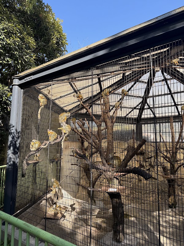 Edogawa City Nature Zoo 3