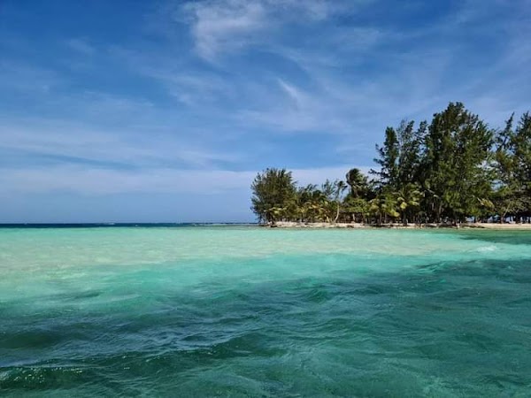 Utila