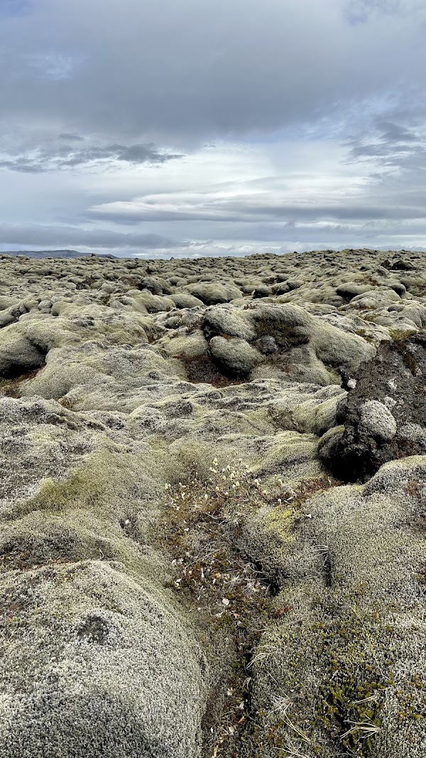 Eldhraun lava field 4