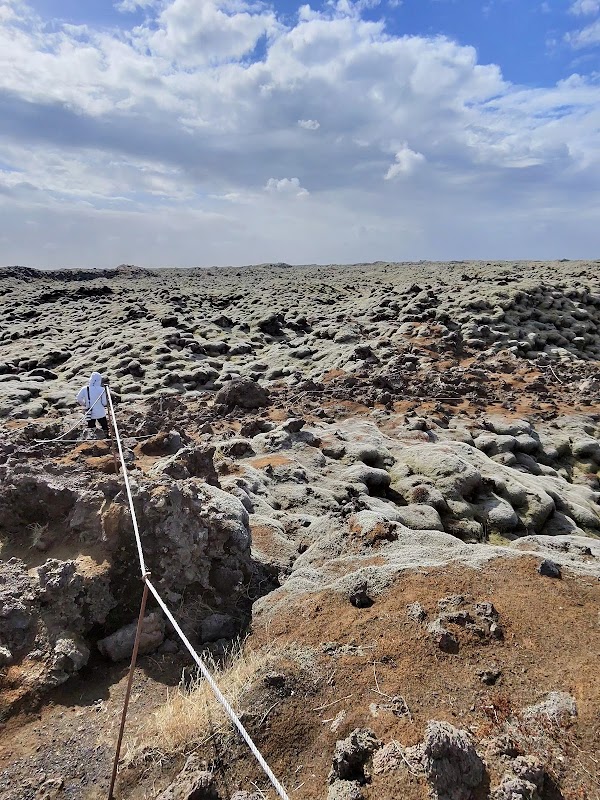 Eldhraun lava field 3