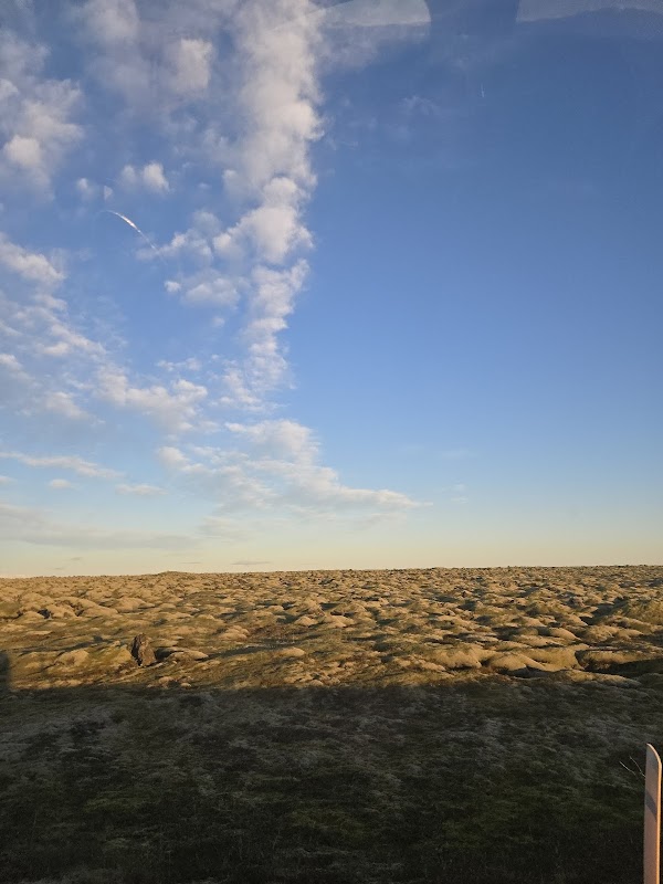 Eldhraun lava field 2