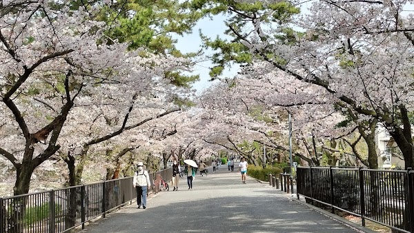 Shukugawa Park 1