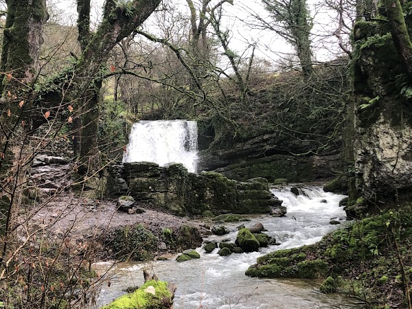 Janet's Foss water pool 5