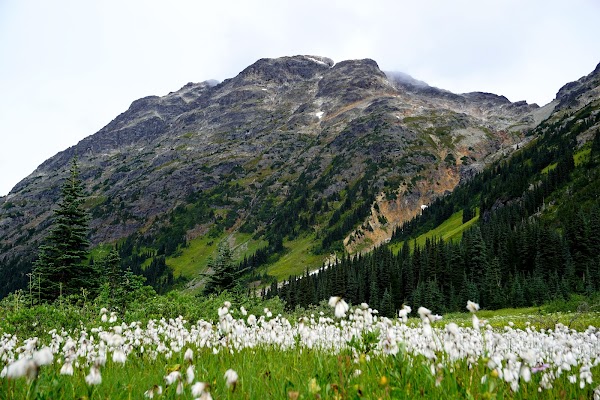 Goat Peak