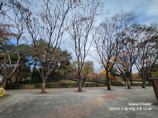 Asian Park 1