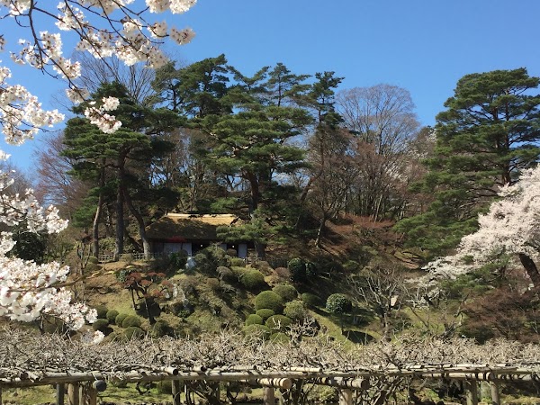 Japan 4