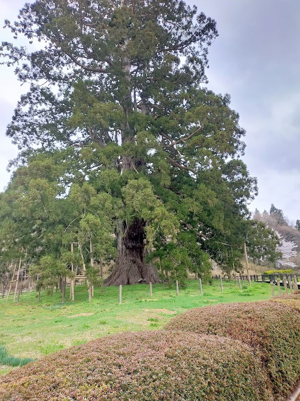 Nihommatsu 3
