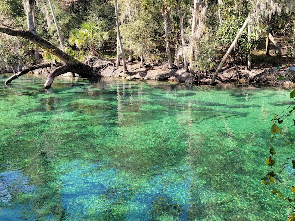Blue Spring State Park 1