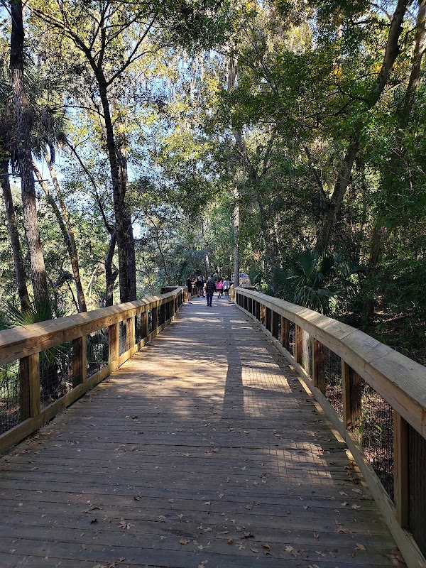 Blue Spring State Park 4