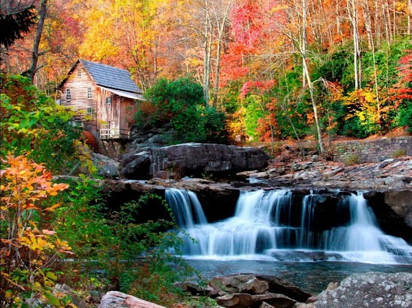 Babcock State Park