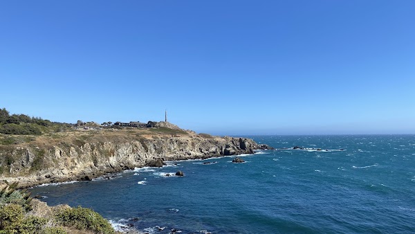 Timber Cove 1