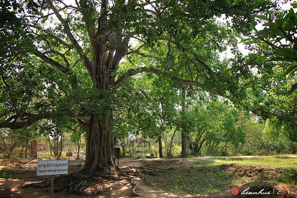 Choeung Ek Genocidal Center 2
