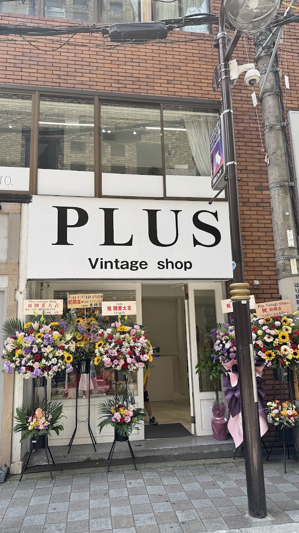 Plus Vintage