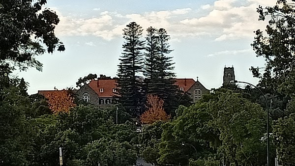 Leederville 3