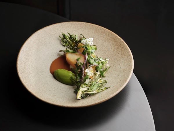 Aulis London 5