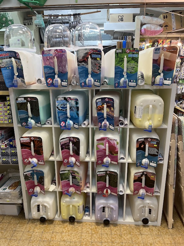 Non Si Mangia Roma 4