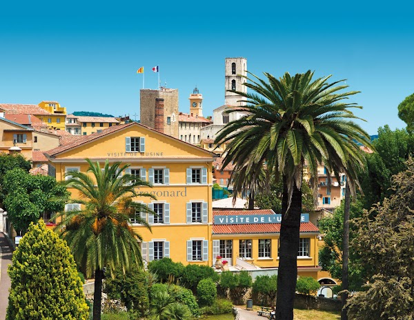 France 45