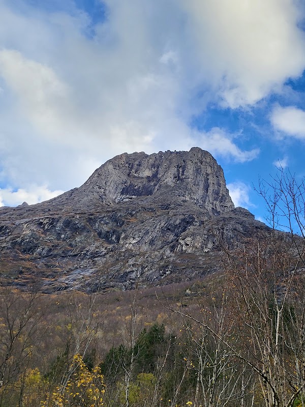 Troll Wall 2