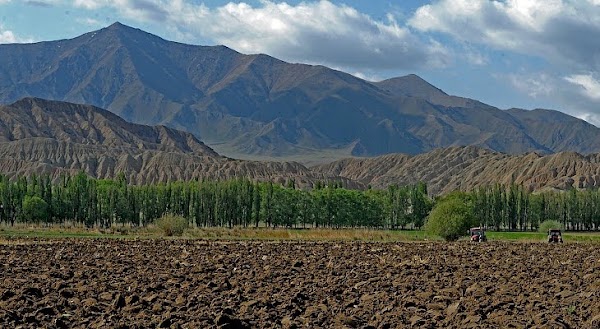 Naryn 4