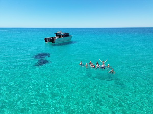 Swan Dive Dunsborough and Busselton