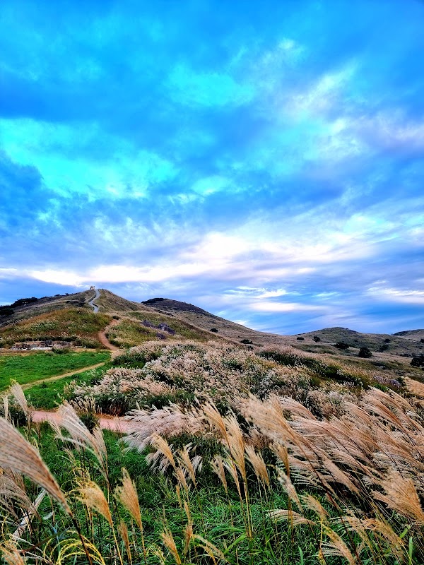 Hwangmaesan County Park 5