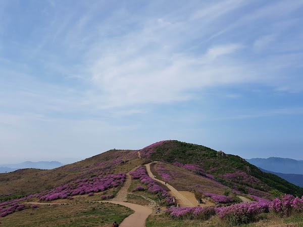 Hwangmaesan County Park 2