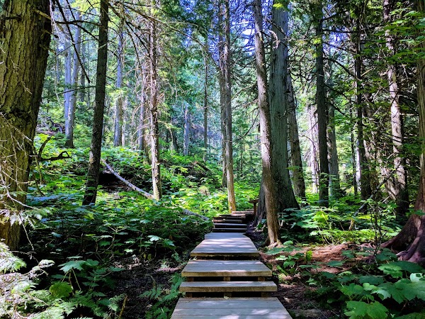 Mount Revelstoke National Park 2