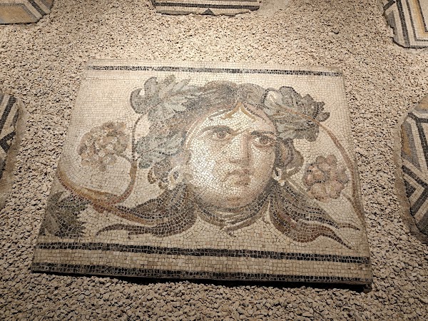 Zeugma Mosaics Museum 2