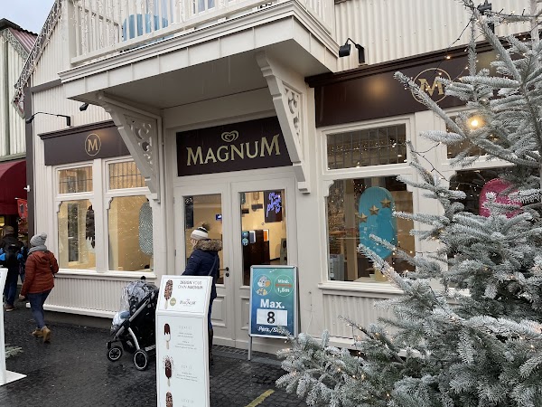 Magnum Pleasure Store