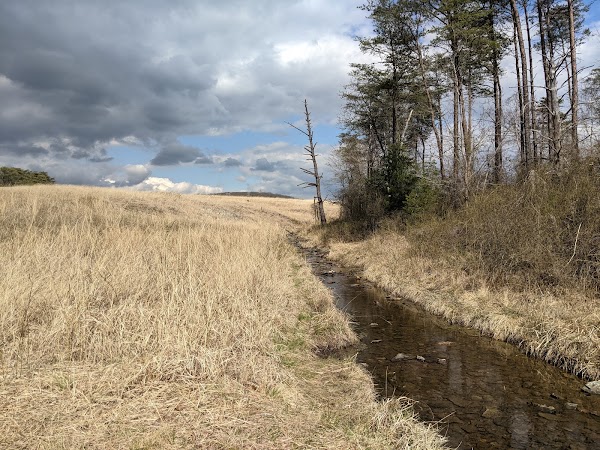 Soldiers Delight Natural Environment Area 5