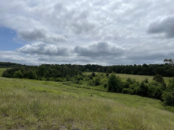 Soldiers Delight Natural Environment Area 4