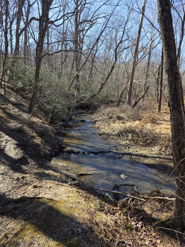 Soldiers Delight Natural Environment Area 3